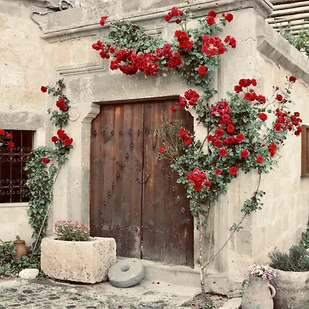 Hotel Sultan Cave 3*