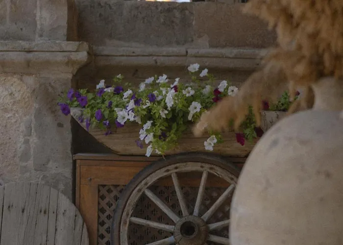 Отель Sultan Cave