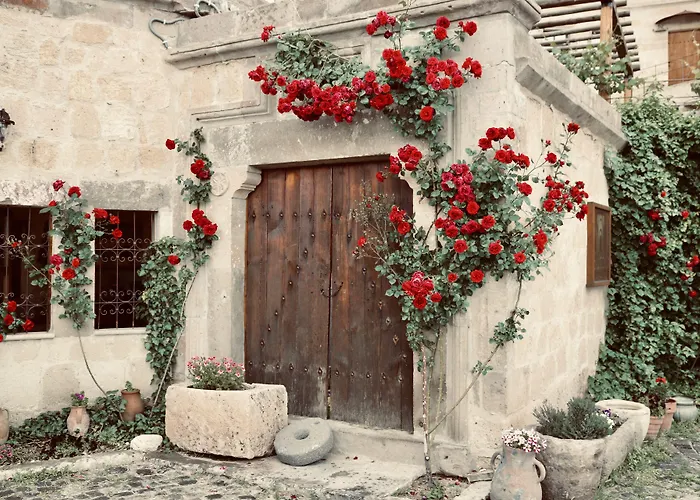 Отель Sultan Cave 3*